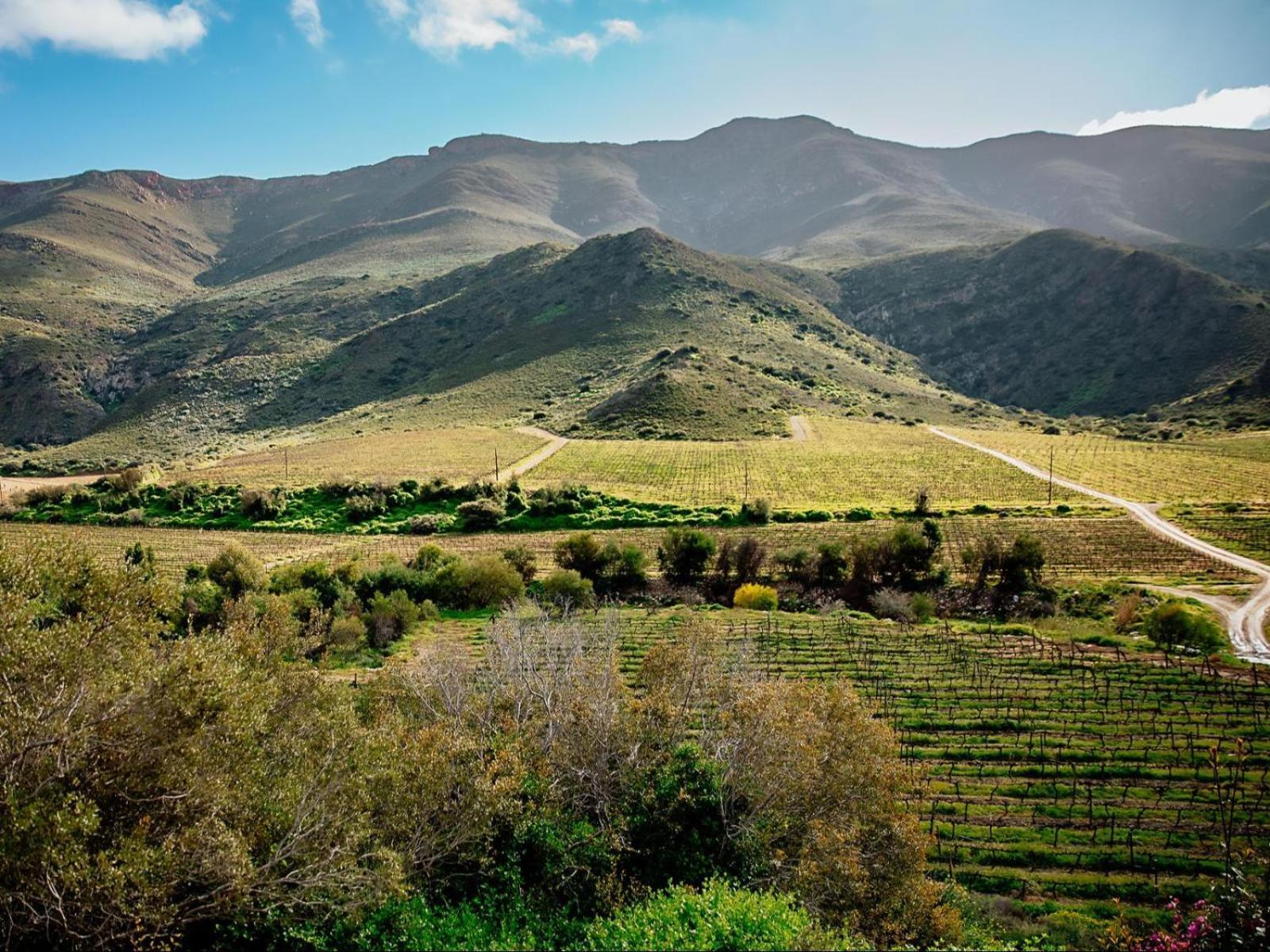 Appartamento Ontevreden Farm Montagu Esterno foto